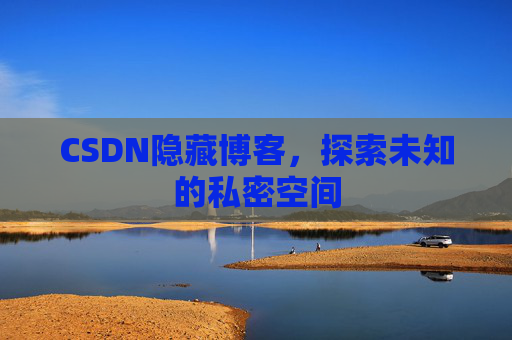 CSDN隐藏博客，探索未知的私密空间